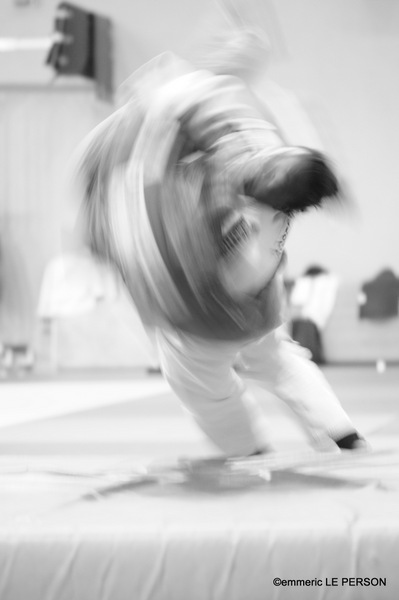 judo-emmeric le person (9)